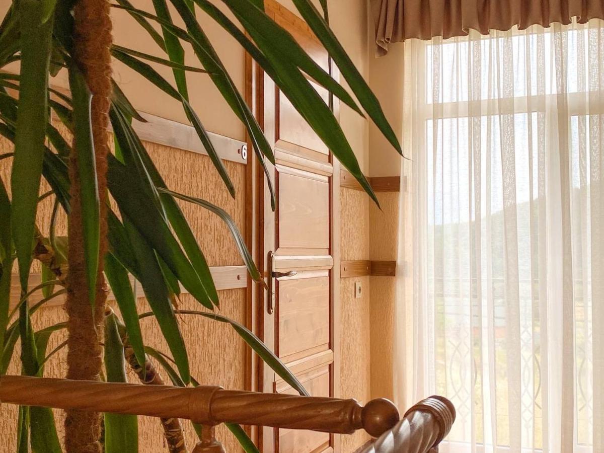 Mini Hotel Solnce Karpat ポリアナ エクステリア 写真