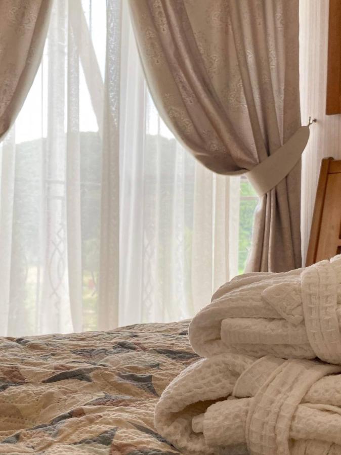 Mini Hotel Solnce Karpat ポリアナ エクステリア 写真