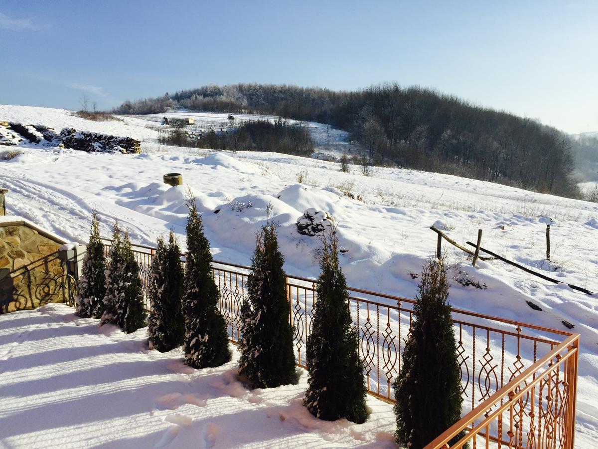 Mini Hotel Solnce Karpat ポリアナ エクステリア 写真