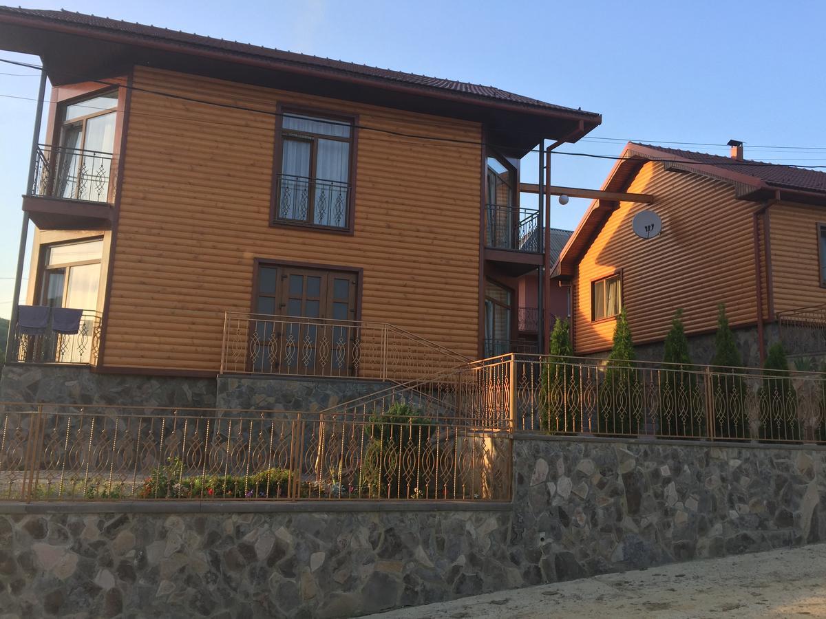 Mini Hotel Solnce Karpat ポリアナ エクステリア 写真